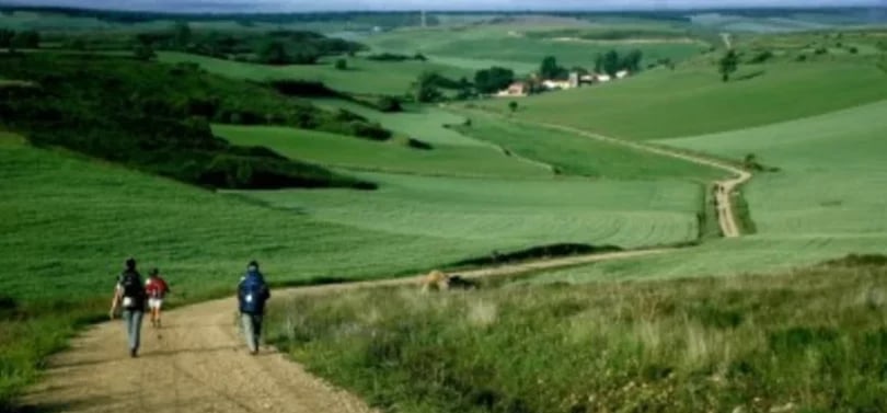 ¿Qué es happy path? Diseño de productos digitales 9 borrador-automatico uncategorized-04