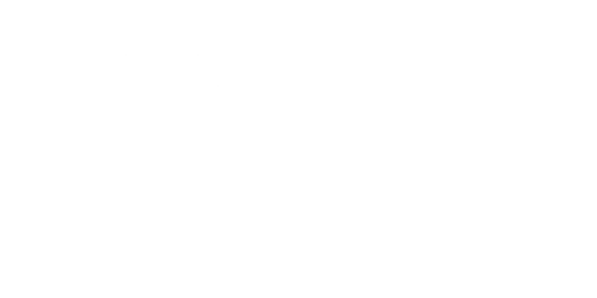 Diseño Web para Concesionarios en Madrid 18 Logo 6