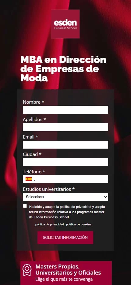Casos de éxito diseño web 27 Diseño web anterior de Esden Business School